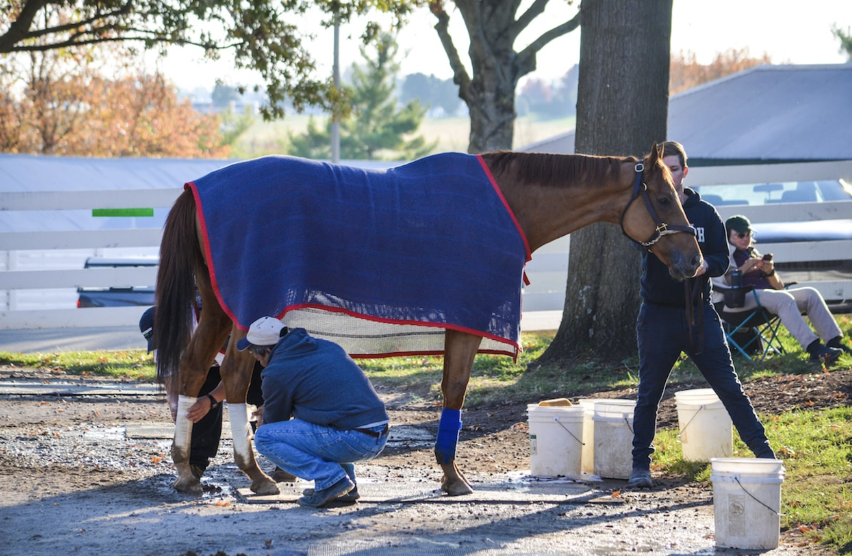 Do People Really Know How to Handle a Horse?
